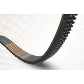 PIX - Vee Belt Banded Raw Edge Cogged 5VX710 - per Band | H5VX-710