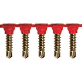 ICCONS® - 346C - Collated SD CSK Self Embed Zy 8-15 x 30 | SDCSSE0830ZYCOL