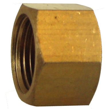 IFS - #33 1/8 NPT Cap (02-N3301) | 02N33-02