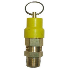 IFS - 106SV 1/2 Safety Valve - Set At 827 KPA (120 PSI) | 04-NSV10608-827