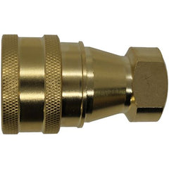 IFS - 3/4" ISO B Brass Female BSP | 08-BBF12
