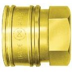 IFS - 1/4 Female Stainless Steel Nitto TSP Socket | 08-NTSS-2TSF