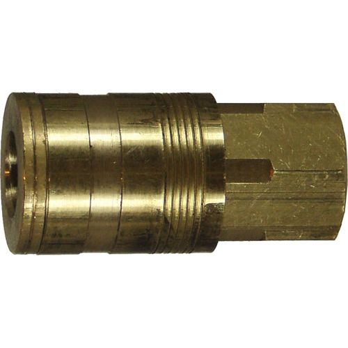 IFS - F909 1/2 Female Coupling Pem | 08-R200F8