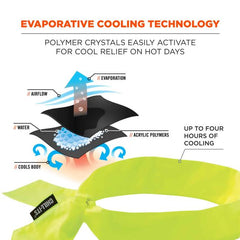 Ergodyne - Chill-Its Evaporative, Cooling Bandana | 12301