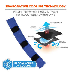 Ergodyne - 6716 Evaporative - Cooling Hard Hat Liner | 12338