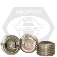Brighton Best - 1/8"-28 BSP - IMPERIAL 304 PIPE PLUGS DRY-SEAL 3/4" TAPER | 232005