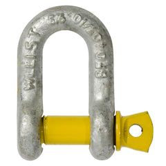 Beaver - Shackle Dee Gr S Galv 38x41mm  WLL 17.0T | 241338