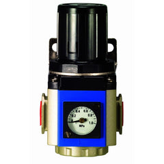 IFS - 1/4 BSP Mini Air Regulator | 26-GR200-04