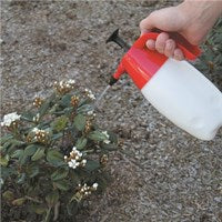 Toledo - Pressure Sprayer Pump Action 1L | 305153