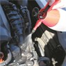 Toledo - Pressure Sprayer Pump Action 2L | 305154
