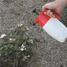 Toledo - Pressure Sprayer Pump Action 2L | 305154