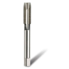 Bordo - 1" x 12 HSS Cobalt UNF Spiral Point Tap | 3134-1