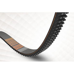 PIX - Vee Belt Banded Raw Edge Cogged 5VX630 - per Band | H5VX-630