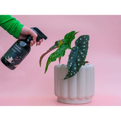 Munash Organics - Indoor Plant Foliage Spray 500ml | GSMOIPFS005