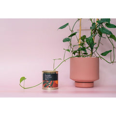 Munash Organics - Indoor Plant Soil Food 400g | GSMOIPSF004