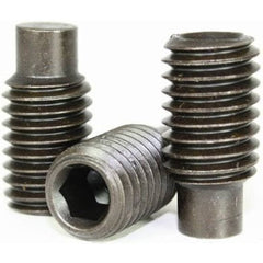 BBI - #6-32x7/8" - Imperial Grub (socket Set) Screw Full Dog Point Thermal Black UNC | 607130