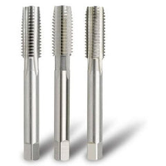 Bordo - 8 x 0.43 BA HSS Tap Set | 3044-8TS