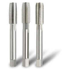 Bordo - 20x1.5mm Mf HSS Tap Set | 3023-20.00TS