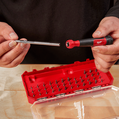 Milwaukee - 39-in-1 Precision Set with Case | 48222935