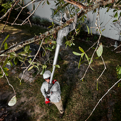 Milwaukee - M18 Brushless Telescoping Pole Pruning Shears Cutting Blade | 48442770