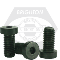 Brighton Best - M20-2.50x45 MM,(FT) - METRIC 10.9 LOW HEAD SOCKET CAP SCREW THERMAL BLACK OXIDE DIN7984 | 531515