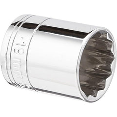 Trax - 3/8" - Drive 19mm 12PT Standard Socket | ARX-98147