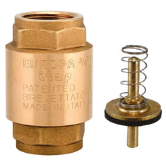 IFS Europa Check Valve