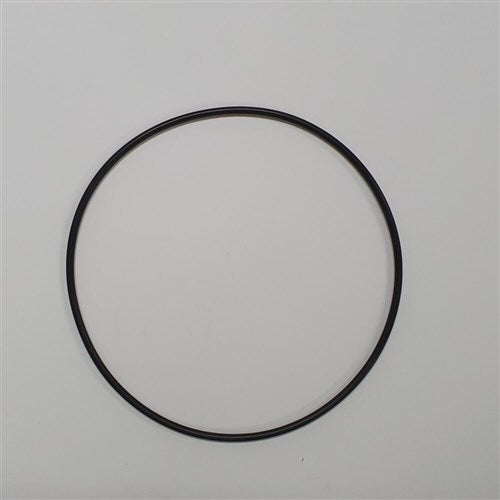DAB Pumps - O-Ring | DABSR00004187 | 702109
