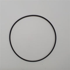 DAB Pumps - O-Ring | DABSR00004187 | 702109