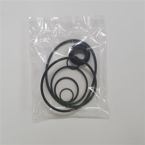 DAB Pumps - O-Ring | DABSR00005242 | 702229