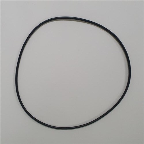 DAB Pumps - O-Ring | DABSR00005569 | 702399