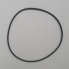 DAB Pumps - O-Ring | DABSR00005569 | 702399