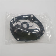 DAB Pumps - Gasket | DABSR00005622 | 702424