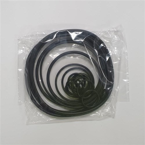 DAB Pumps - O-Ring Kit | DABS SP00002081 | 804951