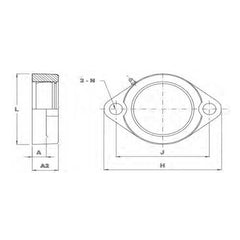 Bearing FYH 2-Bolt Flange Housing - Light Series | LF205/FYH