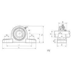 Finer Power Transmissions - Bearing FYH Pillow Block Housing | P206/FYH