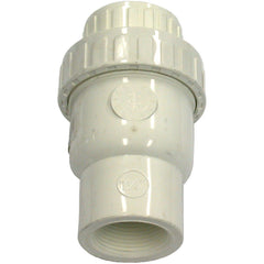 AIP - Check Valve Spring BSP - 2-1/2" | 25-662-040 | AIPYPVCV065
