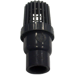 AIP - Foot Valve PVC Spring BSP - 2" | 25-652-032 | AIPYPVFV050