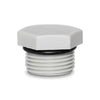 Alco - 20mm HEX NYLON BLIND PLUG LIGHT GREY | ALCJBW-20P