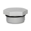 Alco - 25mm HEX NYLON BLIND PLUG LIGHT GREY | ALCJBW-25P