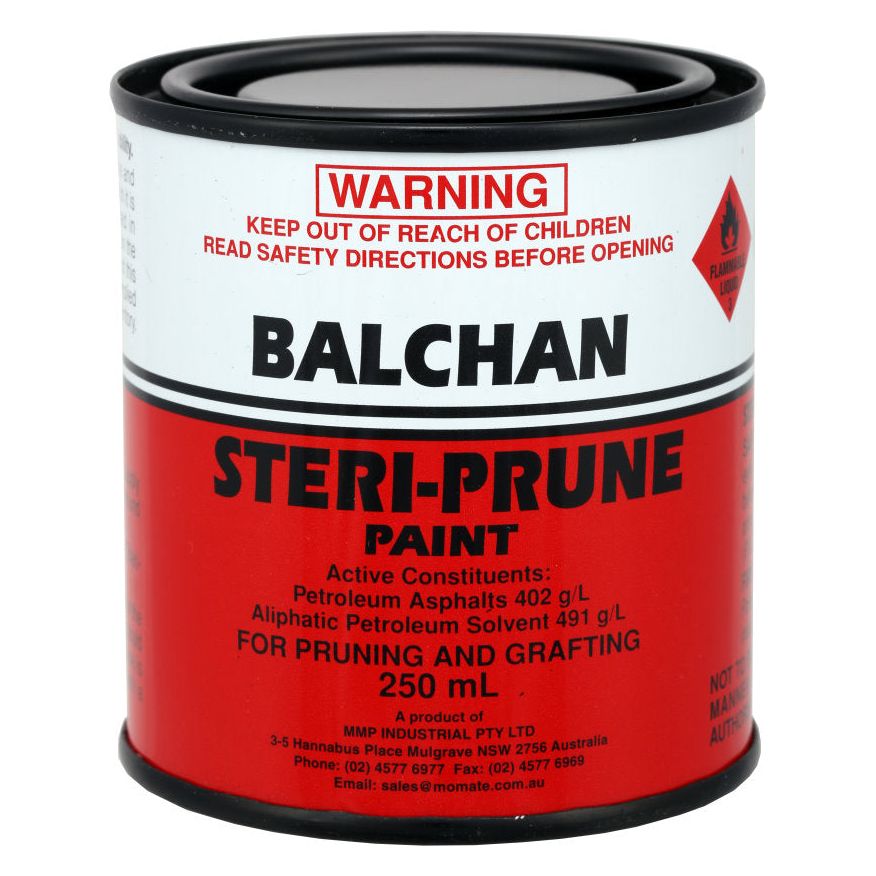 Export - Steriprune Brush On 250 ml | AM002