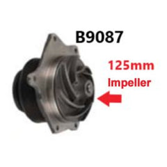 Bare-Co - W/Pump Case Mxm / NH Tm | B 9087