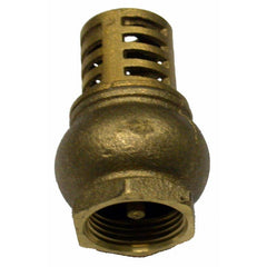 AIP - Foot Valve Brass BSP - 1" | 25-321-016 | BFV25