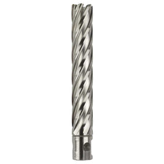 Bordo - 20 x 100mm HSS-M2Al Annular Cutter | 7400-20X100