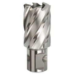 Bordo - 56 x 100mm HSS-M2Al Annular Cutter | 7400-56X100
