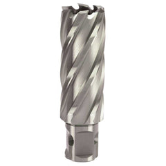 Bordo - 7 Pce 50mm Annular Cutter Set HSS | 7400-S1X50