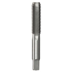 Bordo - 3/4 NPT Chrome Alloy Tap - Bottoming | 4252-3/4B