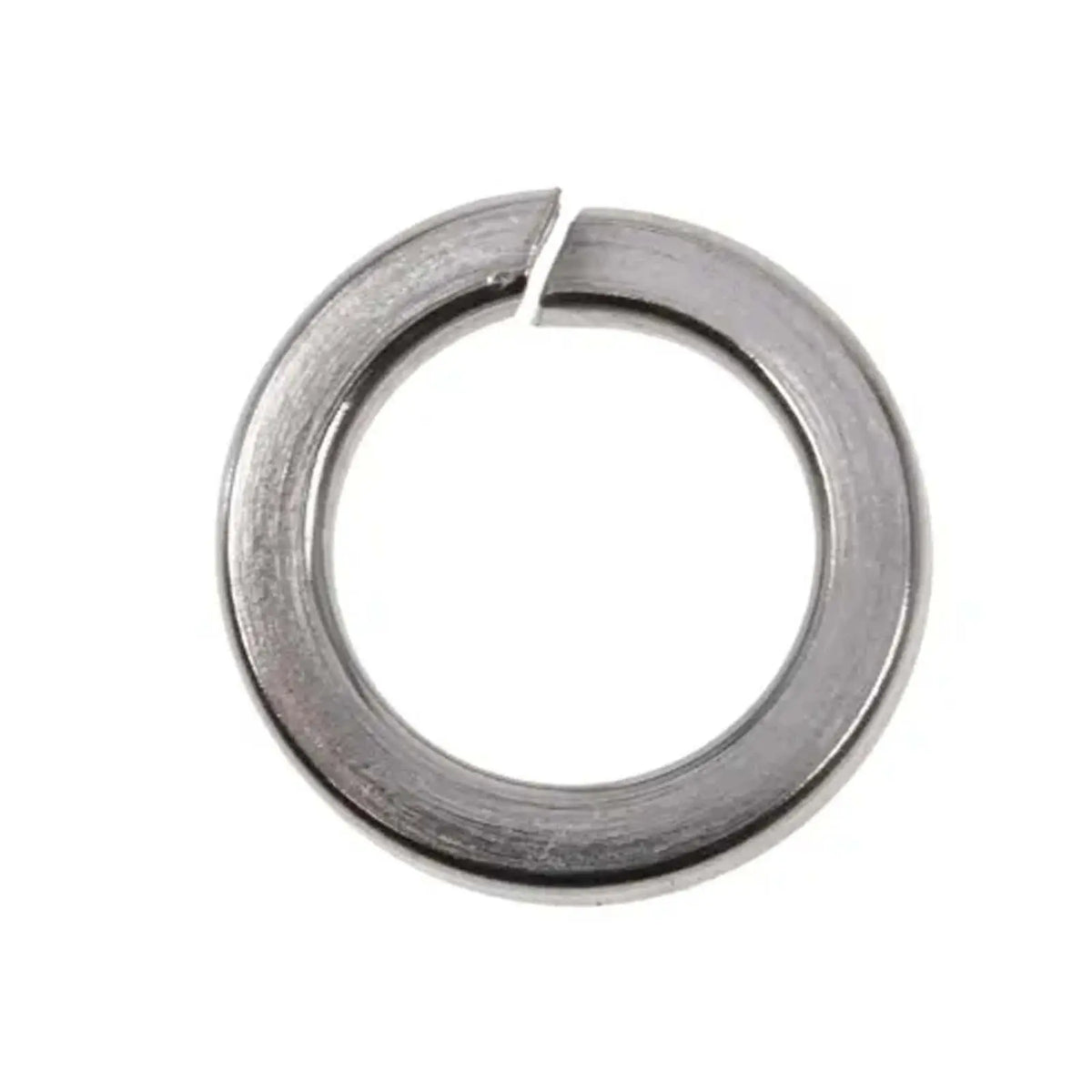 Bremick - SS316 Spring Washer 3/4" (Box of 100)