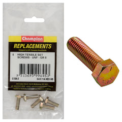 Champion - Hex Set Screws - High Tensile - 1/4" x 3/4" - UNF - Grade 5 | C120-2