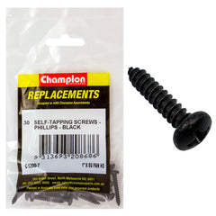 Champion - Self Tapping Screws - Pan - Phillips - 4.2 x 25mm - Black | C1200-7